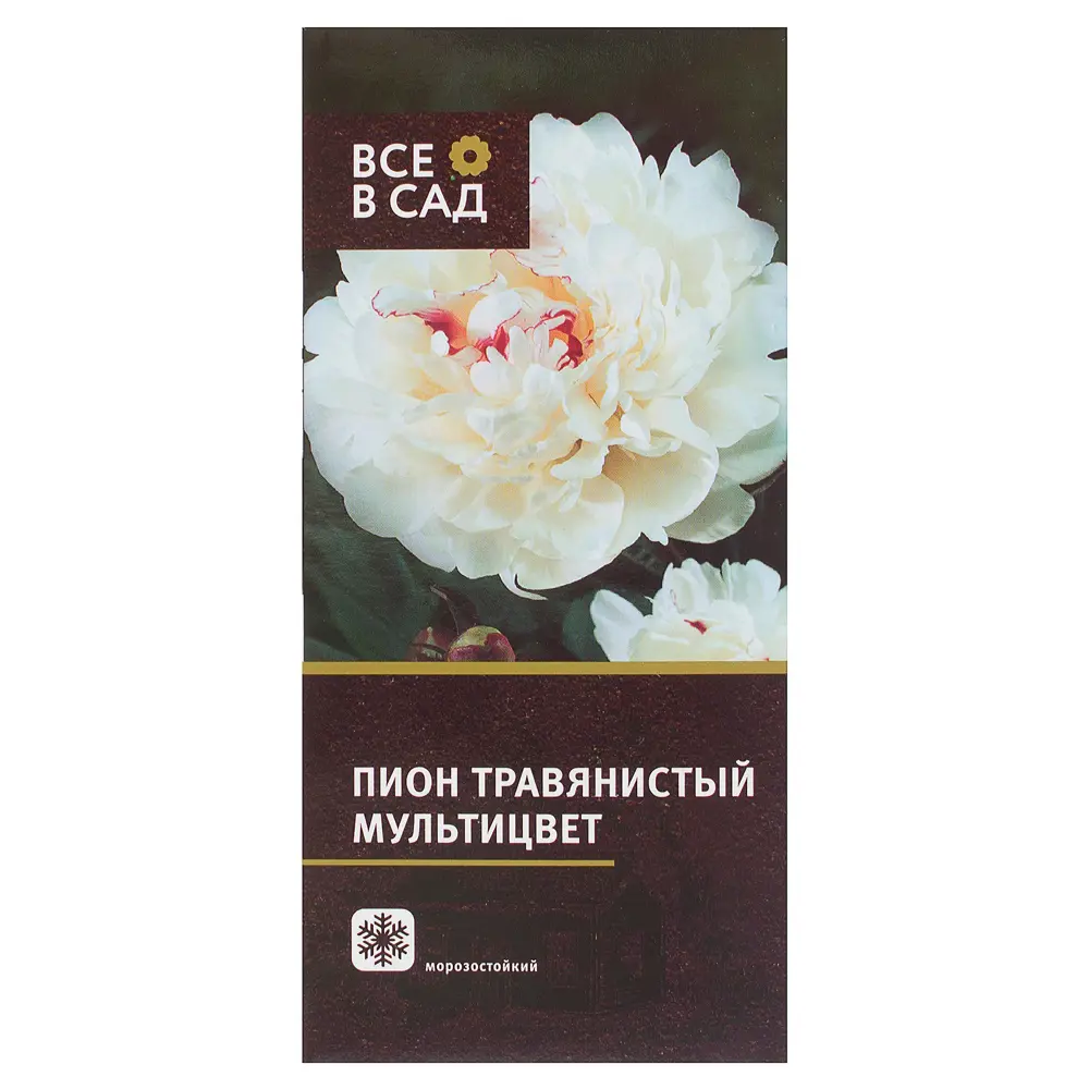 Пион травяной Мультицвет (в тубе) 17512580 STLM-2086095 Santreyd 