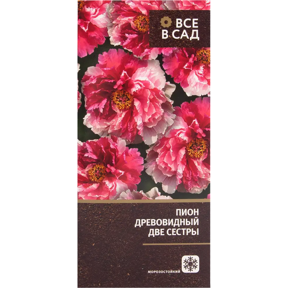 Пион древовидный привитый Две сестры в тубе ВСЕ В САД STLM-2002499