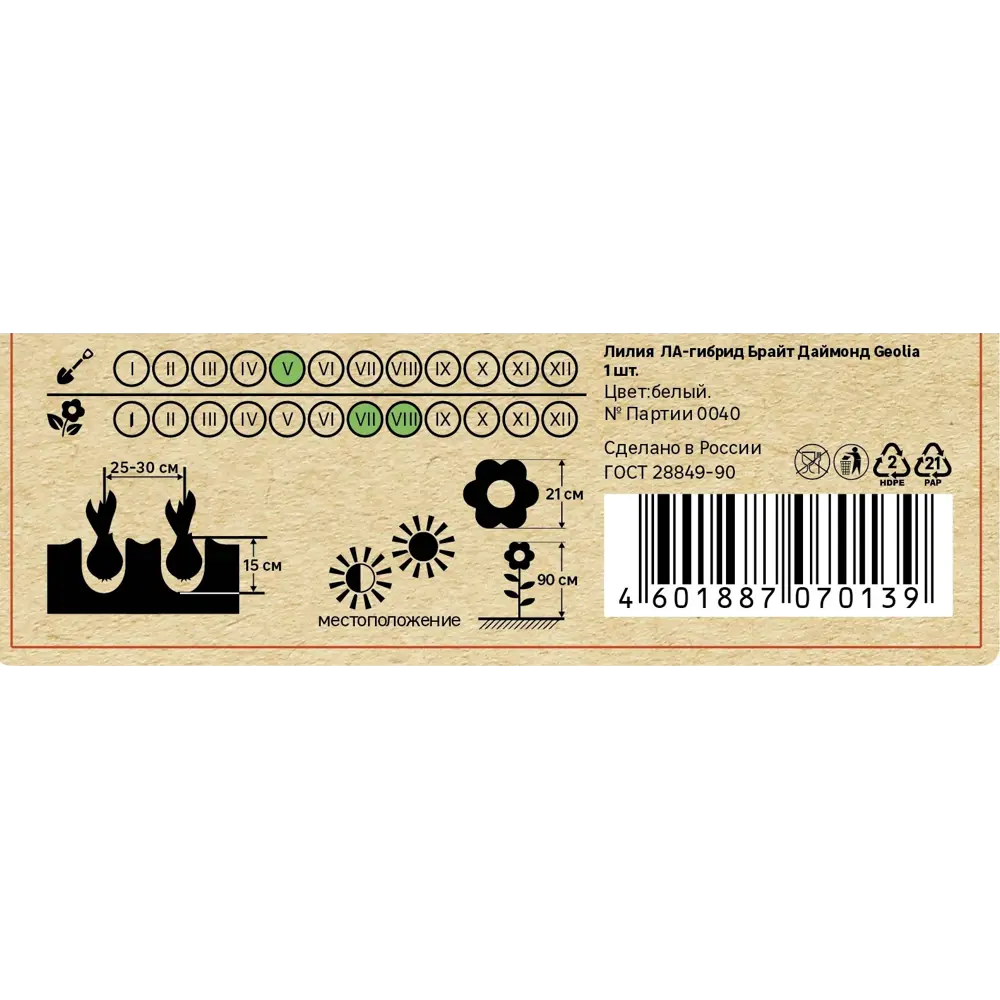 Лилия Geolia ла-гибрид Брайт Даймонд STLM-2204959 - Вид №4