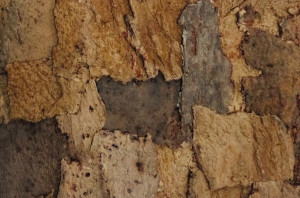 006 071 000 Рельефное пробковое настенное покрытие Sandstone GRANORTE RustiCork
