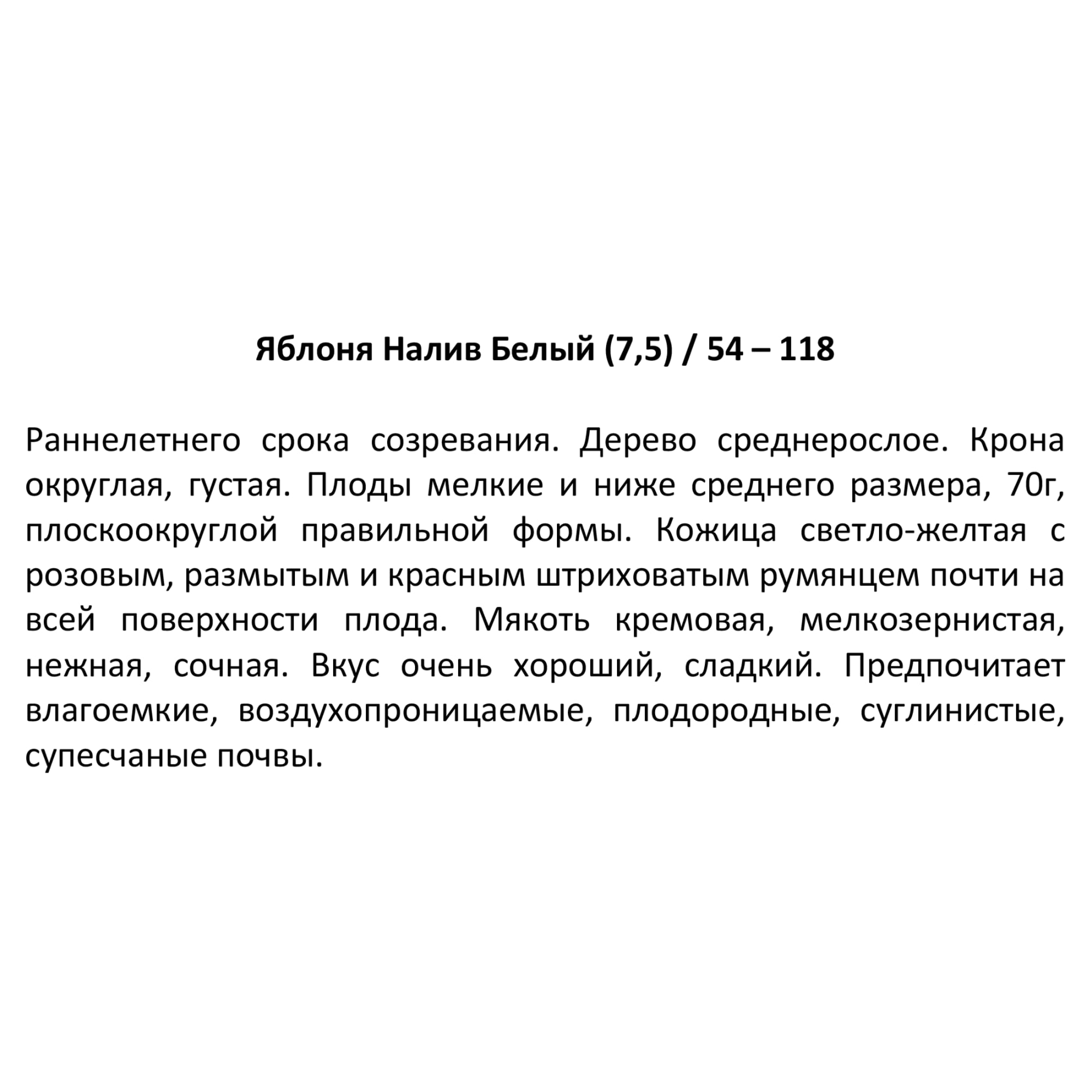 82585458 Яблоня «Налив белый» 25x120 см Santreyd  - Вид №1