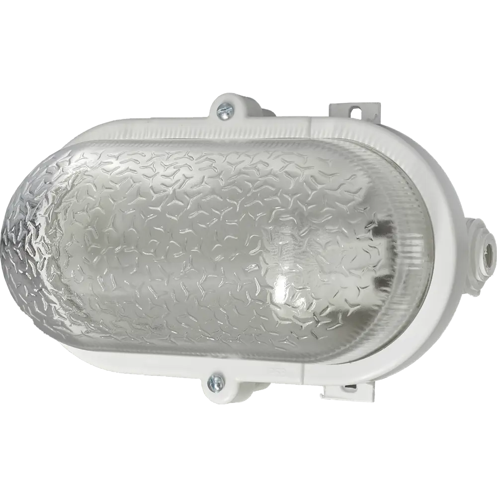 Светильник настенно-потолочный овальный НБП 01-60-002 IP53 APEYRON STLM-2176502 - Вид №1