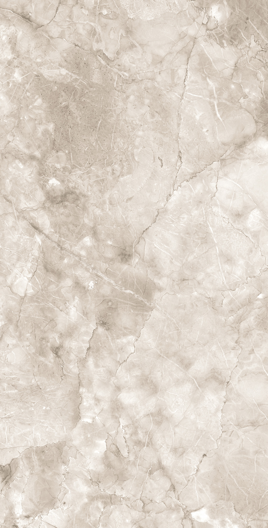 Керамогранит MICADO TAUPE 60х120 Arcadia Ceramica CR4025-A  - Вид №2