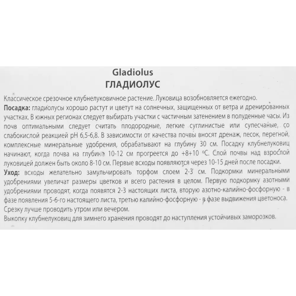 Гладиолус крупноцветковый Астарта, 3 шт 86410043 STLM-2085005 ПОИСК  - Вид №2