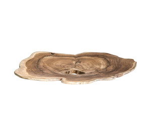 Центральный ТИК