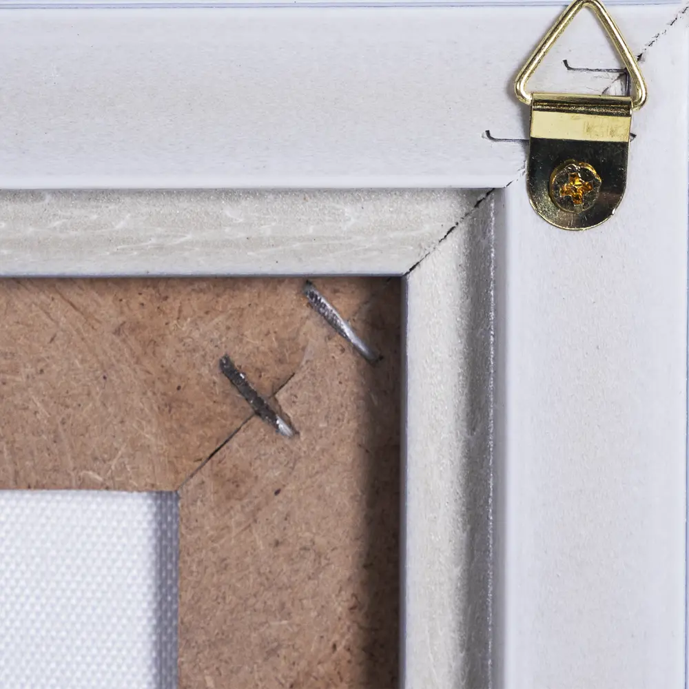 Картина на холсте в раме «Перо» 30х40 см Santreyd STLM-2148735 - Вид №3