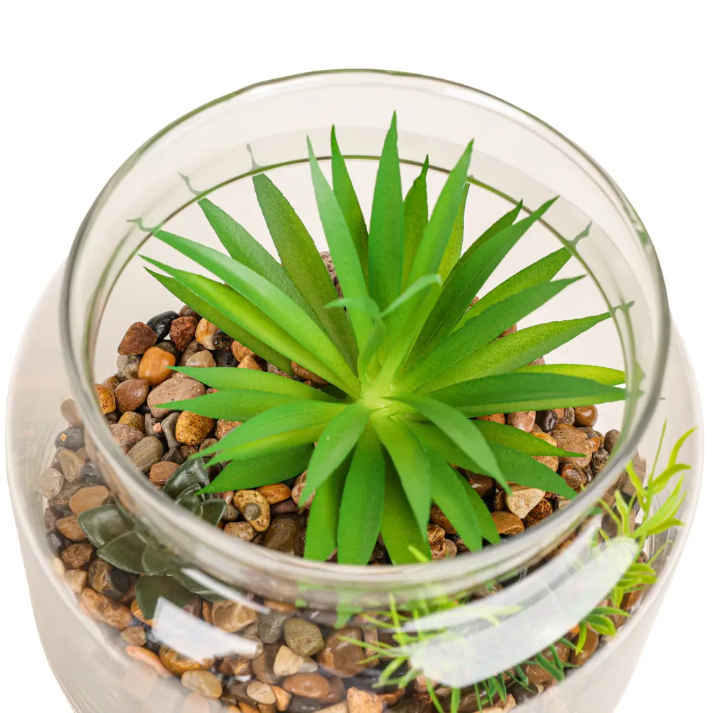 Декоративное растение Dream River в стеклянном горшке 17.5 см 89432357 STLM-1568177 - Вид №2