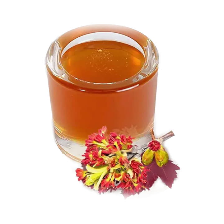 Мёд черноклёновый Santreyd 19060