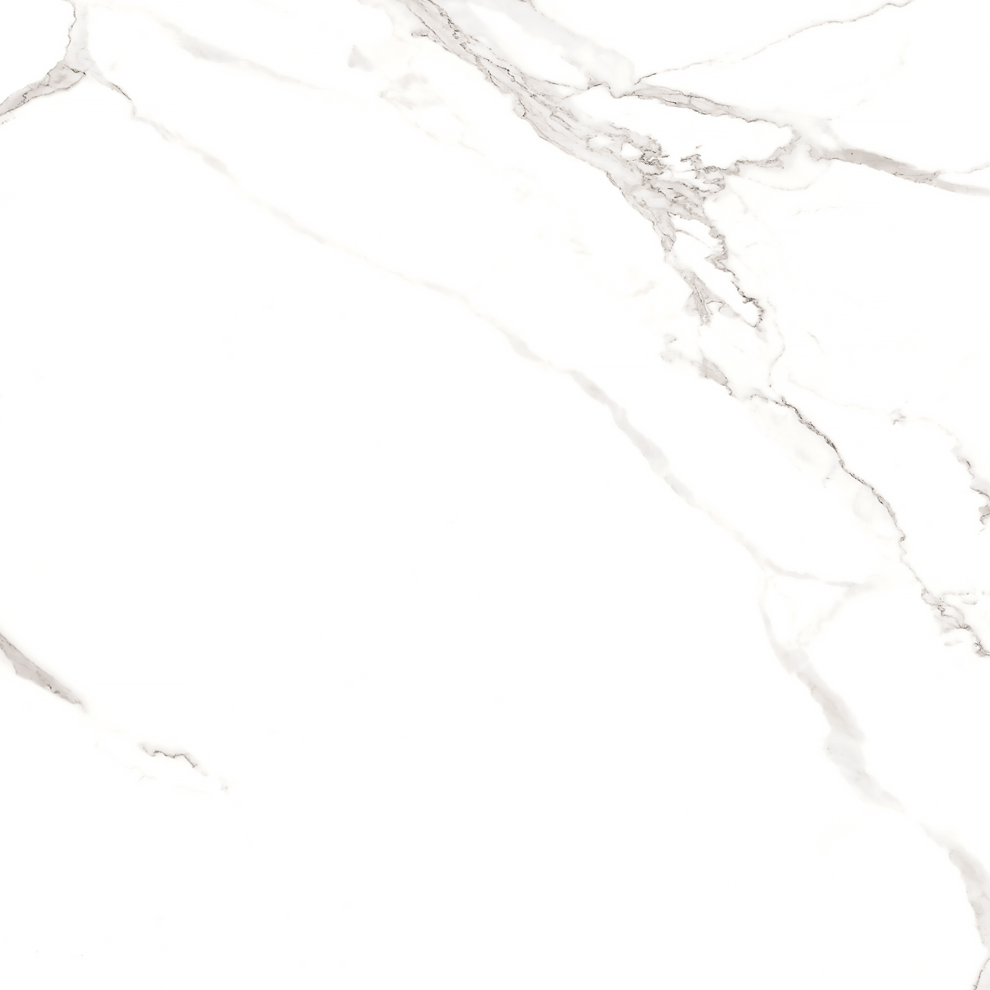 Керамогранит STATUARIO MIRES 60х60 Arcadia Ceramica FP1012-A STLM-1571933 89405719  - Вид №13