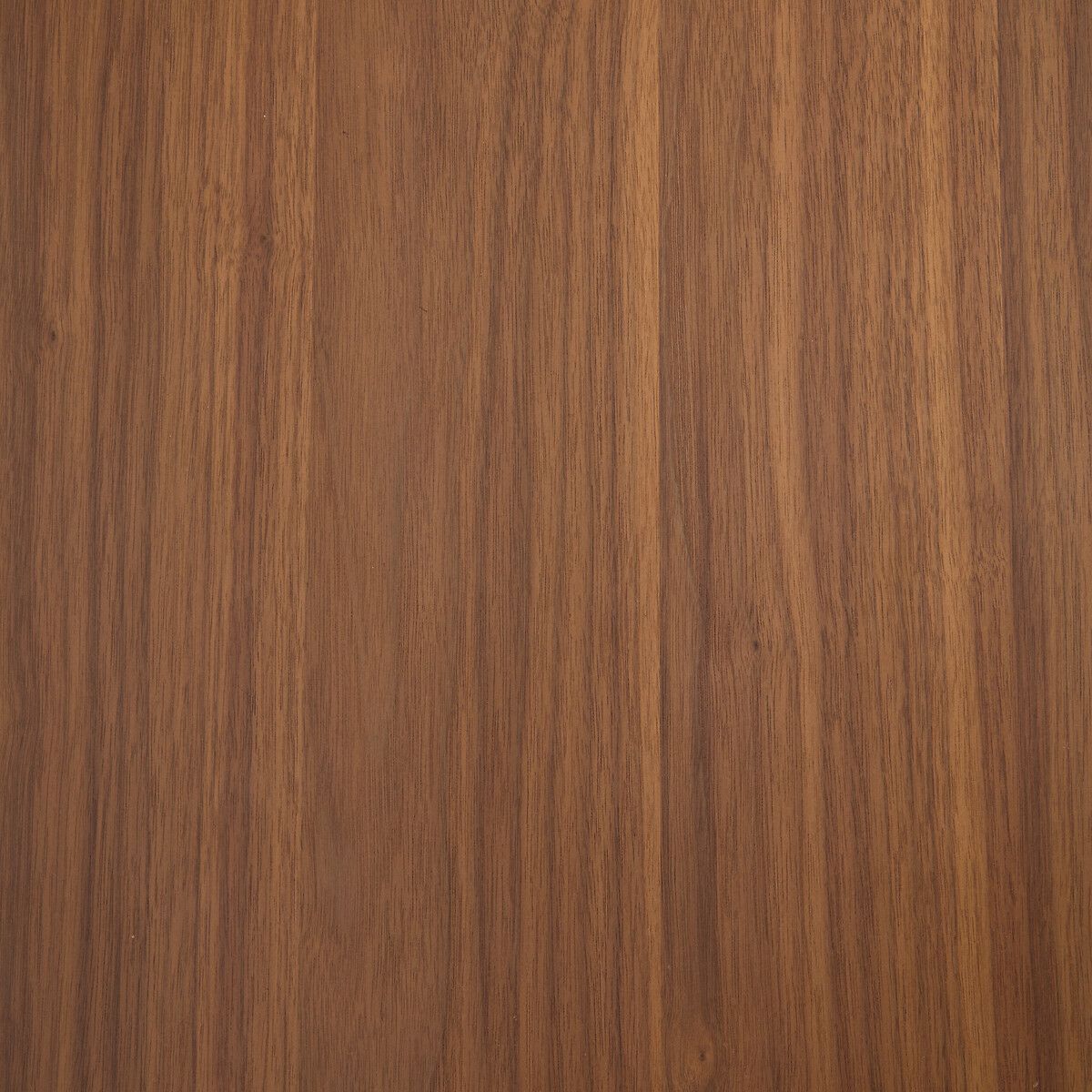 Секционный книжный шкаф из шпона AMPM ARCHIVITA ARCH-00012455 - Вид №24