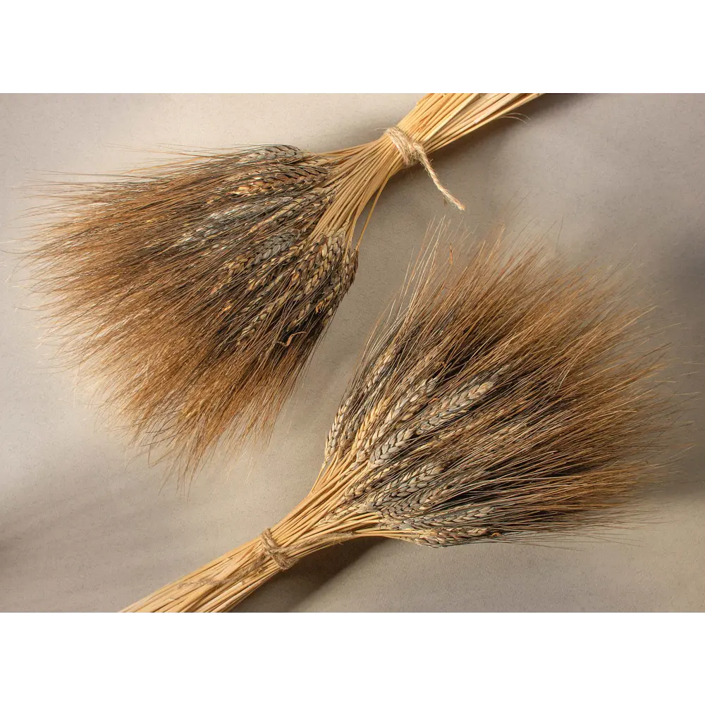 Изделие декоративное букет Пшеница черная 11x75x14 см Santreyd STLM-2004990
