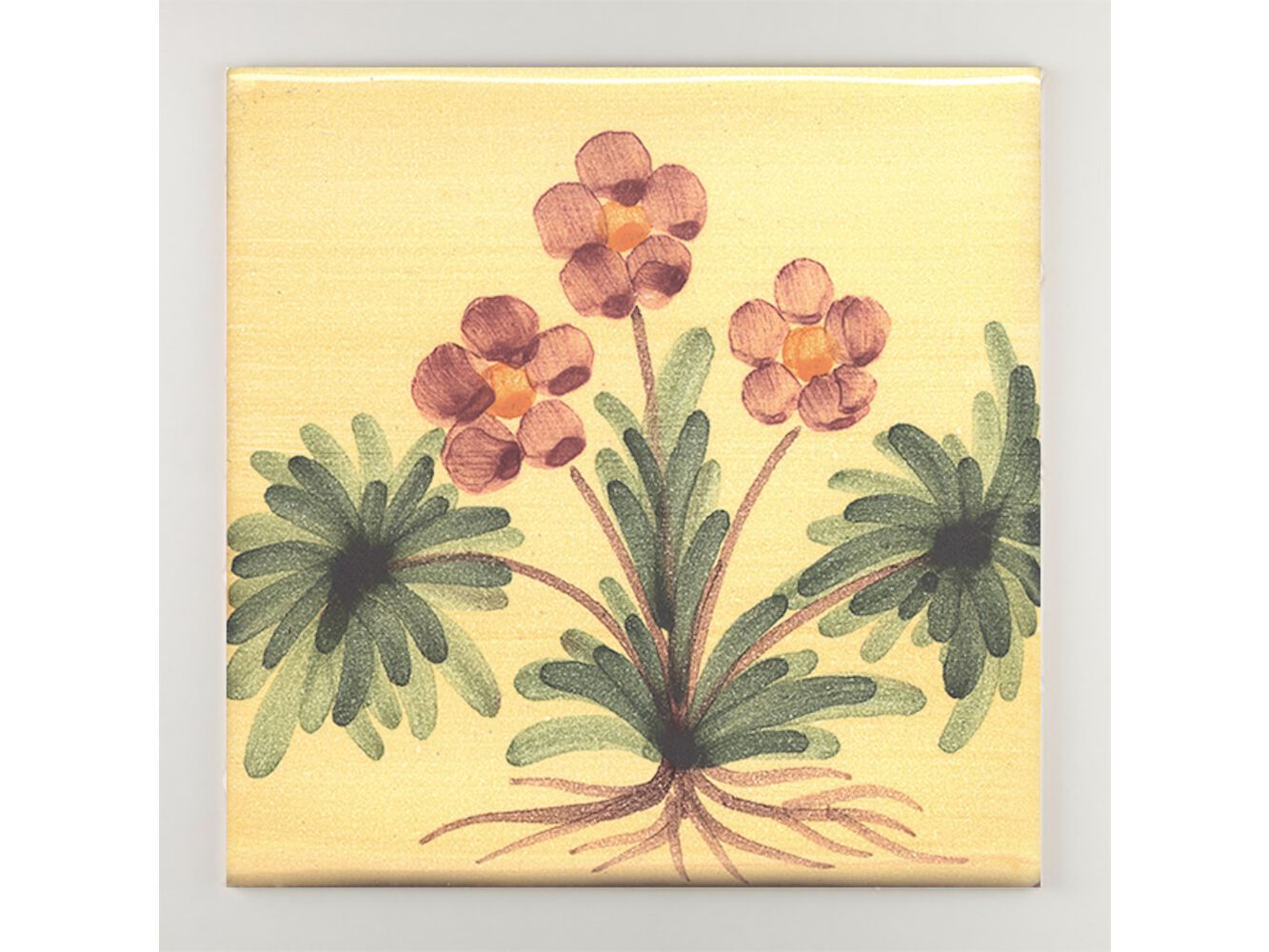 Пол / покрытие ручной работы La Riggiola традиция ARCH-00041323