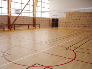 Упругие спортивные полы