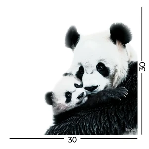 Картина Fbrush «Нежные объятия панд» 30×30 см 89406620