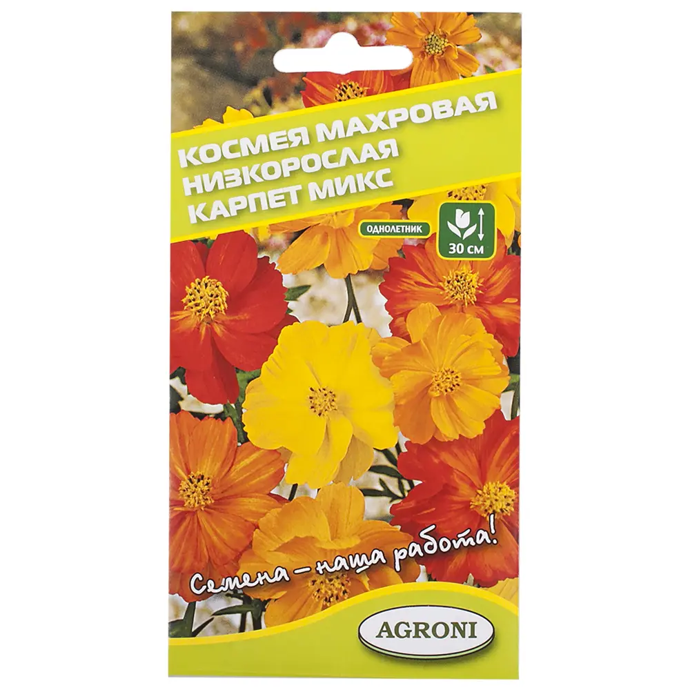 Космея махровая низкорослая AGRONI STLM-2154731