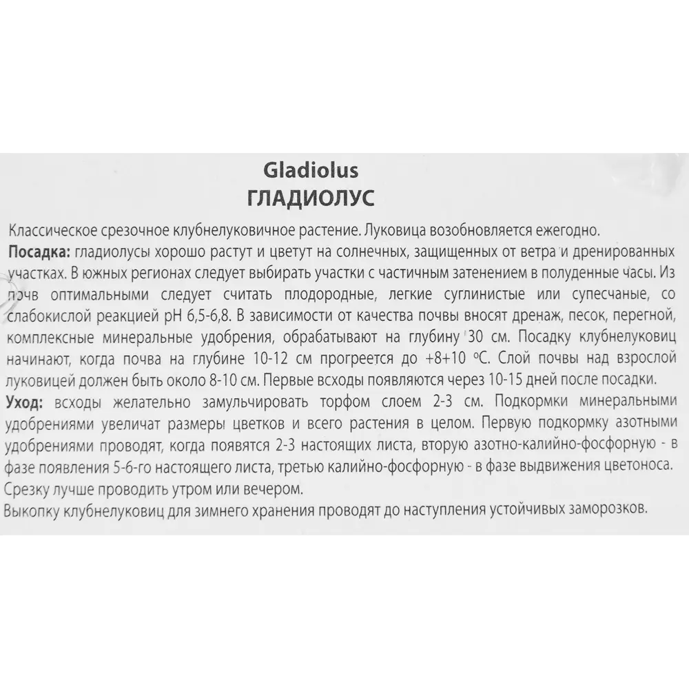Гладиолус крупноцветковый Питер Пирс, 3 шт 86410023 STLM-2125446 ПОИСК  - Вид №2