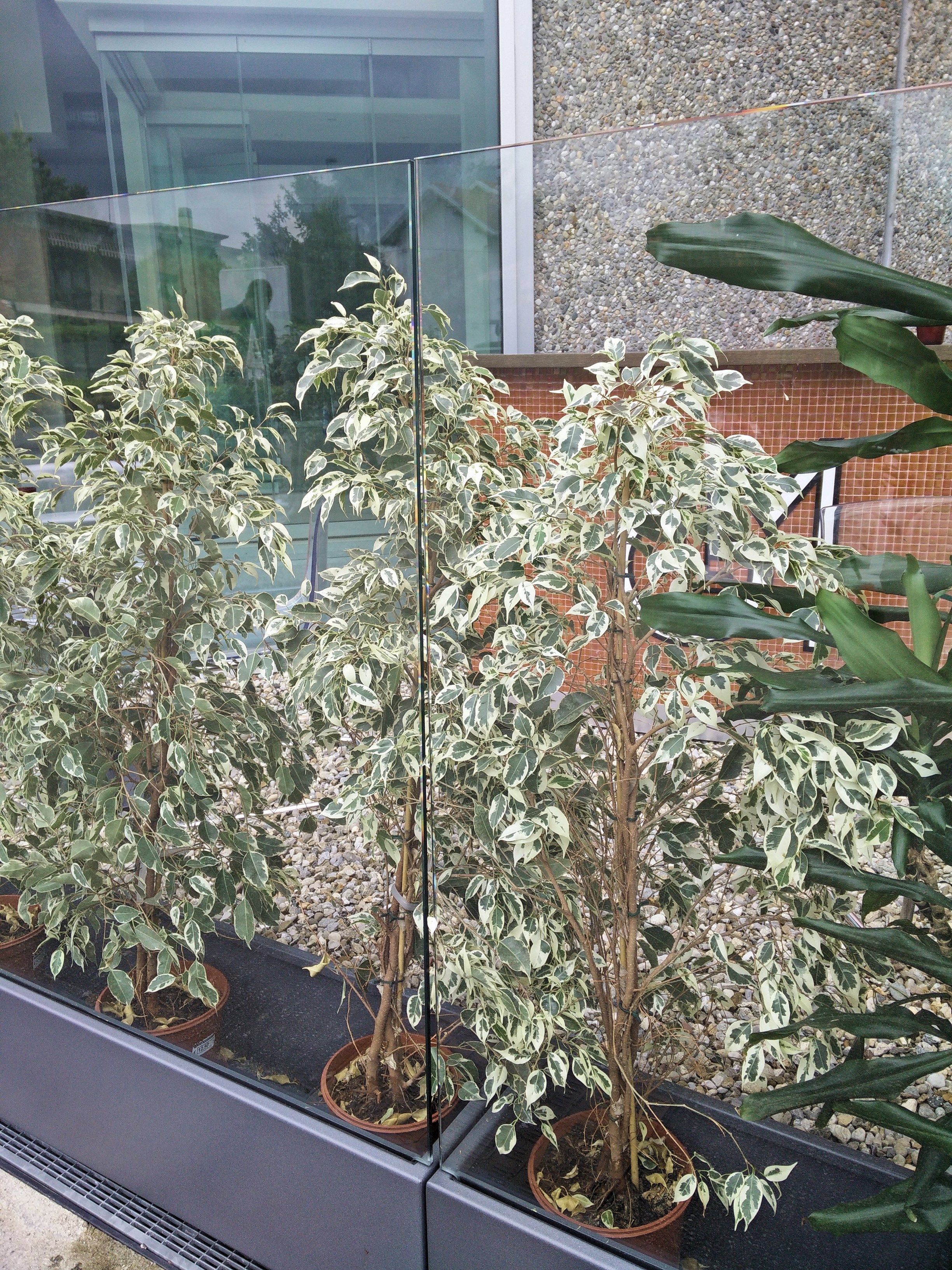 Металлическая перегородка для сада GM MORANDO Bellavista System ARCH-00055158 - Вид №4