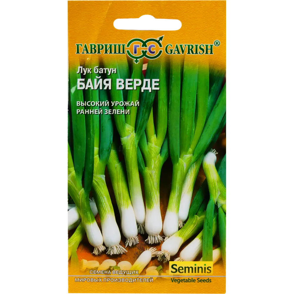 Семена Лук батун Байя Верде 0.2 г 82097765 STLM-2085349 ГАВРИШ 