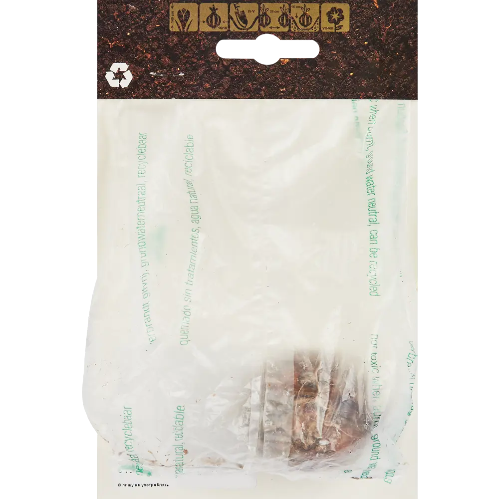 Лилия трубчатая Регале 86735726 STLM-2006899 Santreyd  - Вид №1