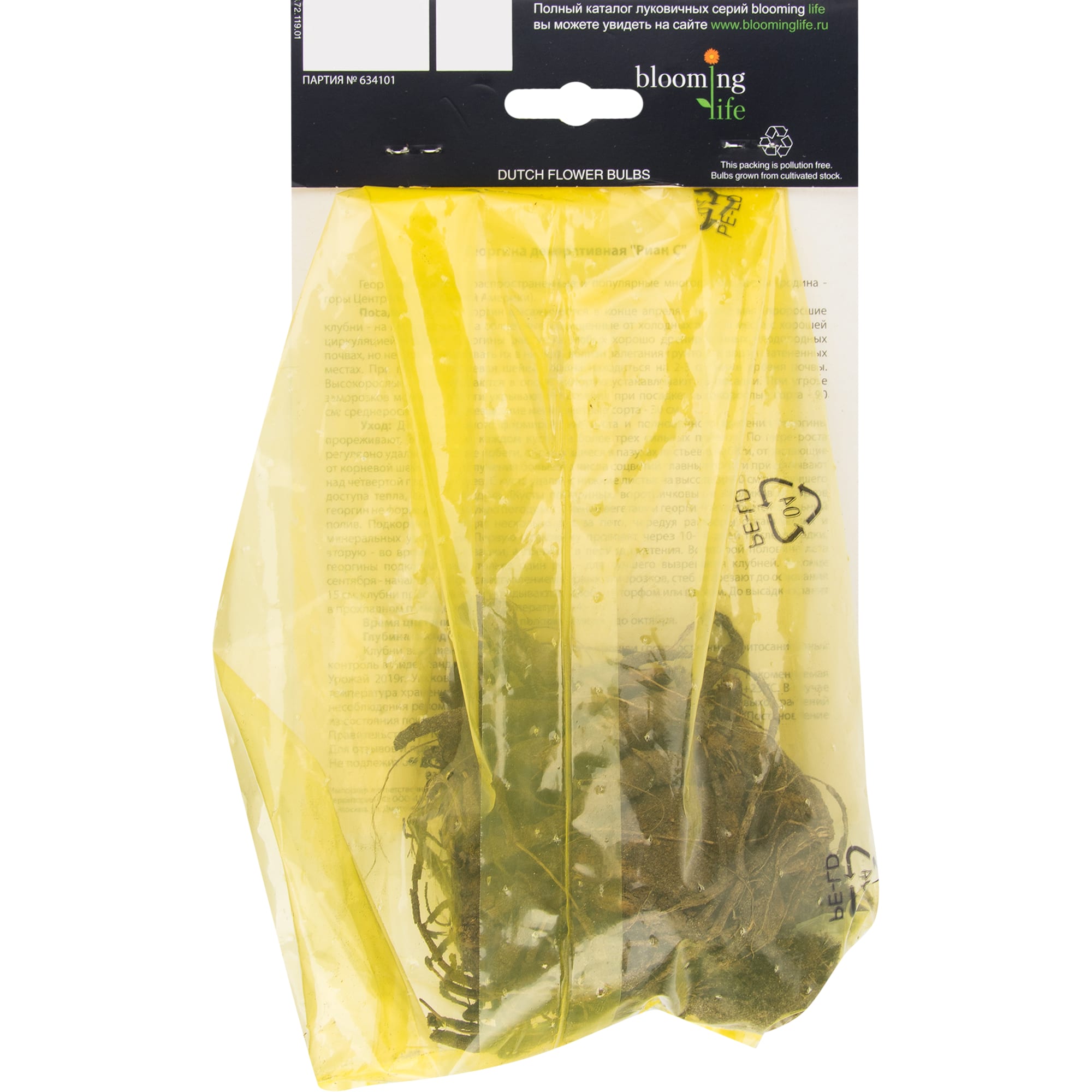 81945855 Георгина декоративная «Риан С» Santreyd  - Вид №1