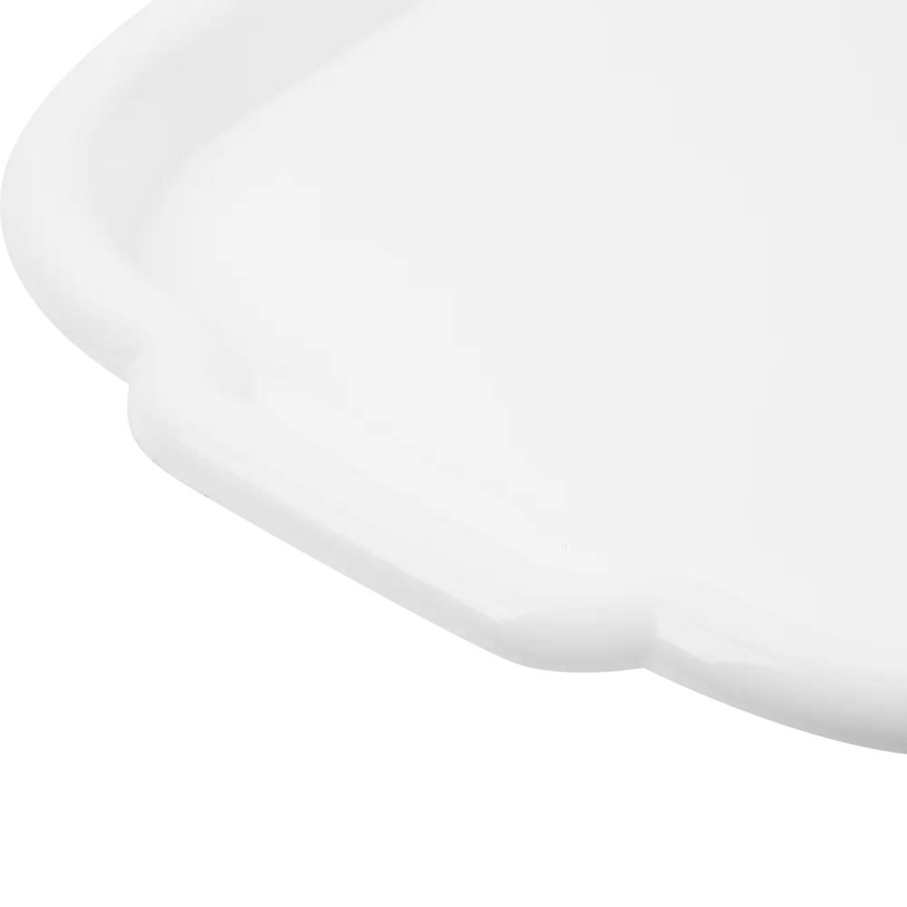 Поднос прямоугольный 49x33 см полипропилен цвет белый Santreyd STLM-2195843 - Вид №2