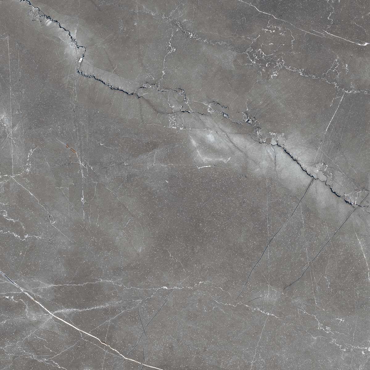Керамогранит PULPIS NERO 60х60 Arcadia Ceramica FP1014-A STLM-2172557 84855266 - Вид №9