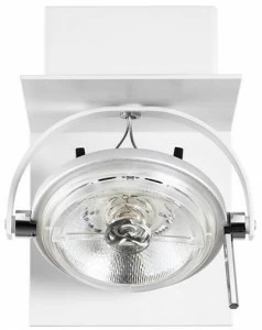 NEMO Регулируемый потолочный светильник из алюминия с порошковым покрытием
