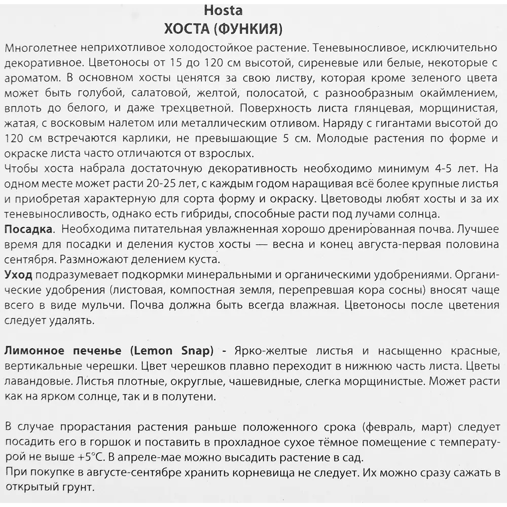 Хоста гибридная Лемон Снэп ПОИСК STLM-2069740 - Вид №2