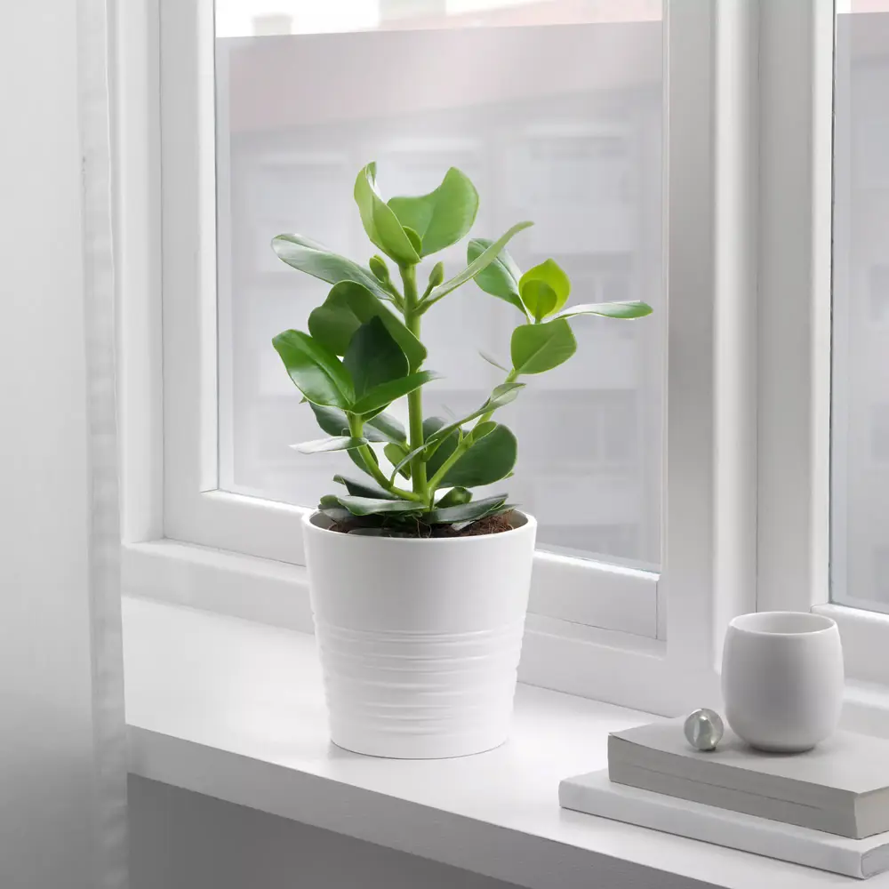 INSPIRE Sun Protection - статическая солнцезащитная пленка черная 0.45х1.5 м 89346801 STLM-1577722 - Вид №3