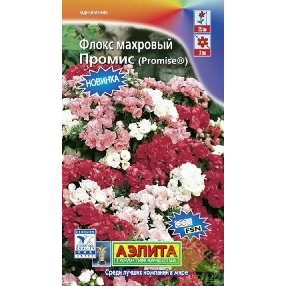 Флокс махровый друммонда «Промис» Santreyd STLM-2192758