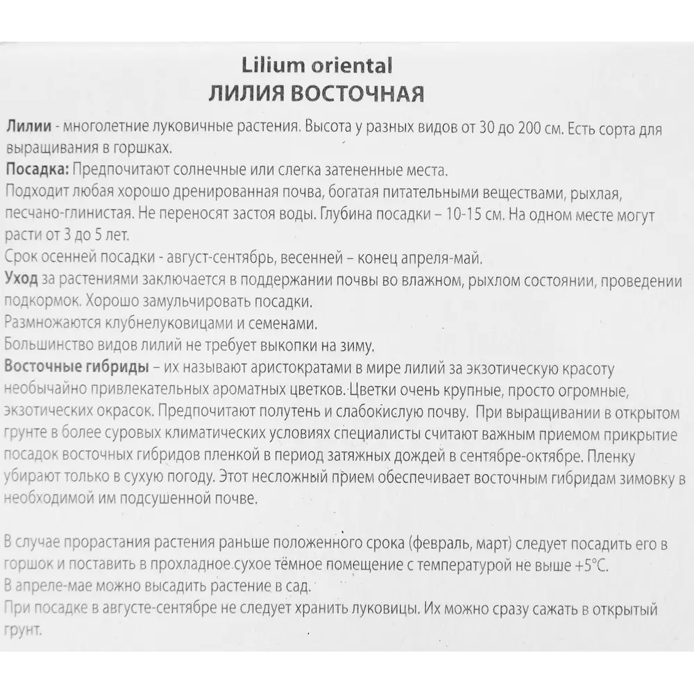 Лилия восточная Дигнити 85205780 STLM-2001825 ПОИСК  - Вид №2