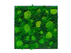 Растительная картина в лишайниках и мхе