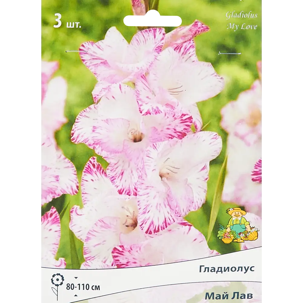 Гладиолус крупноцветковый Май Лав, 3 шт ПОИСК STLM-2186677