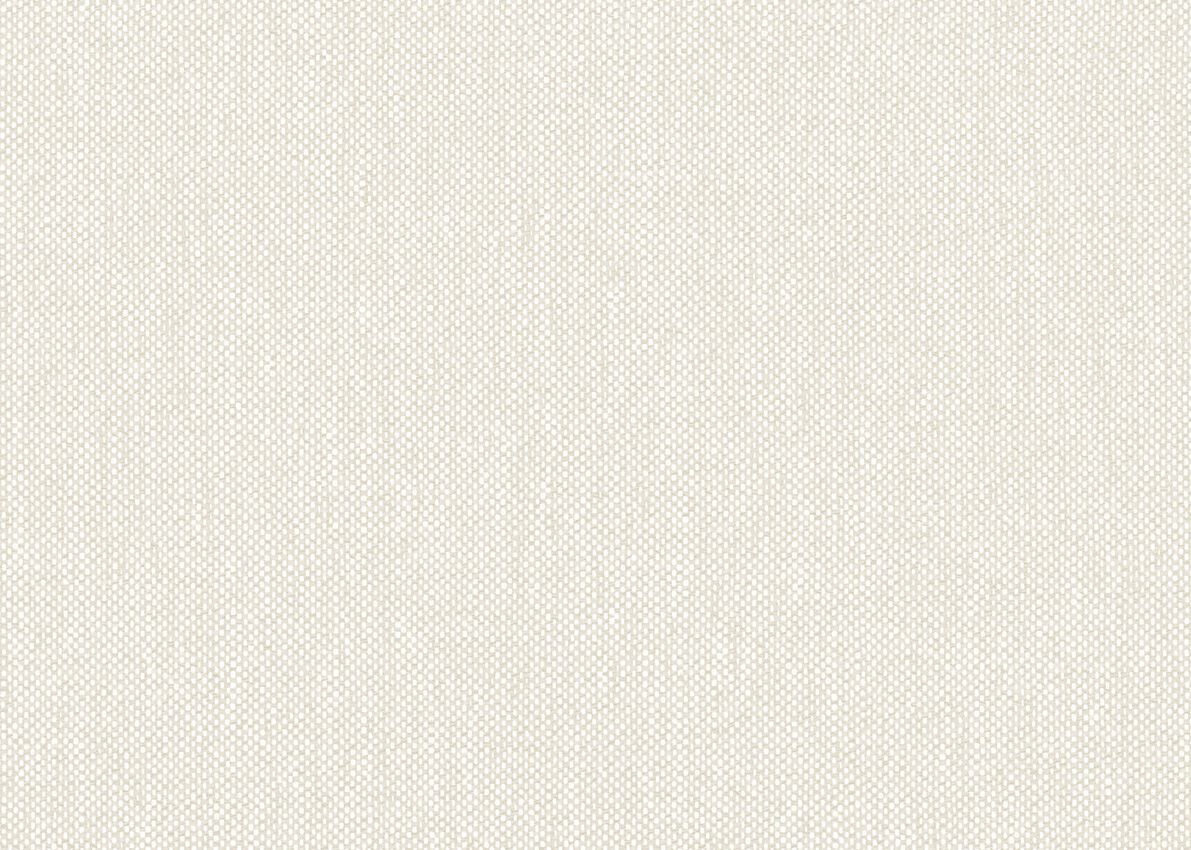 Однотонные обои Jannelli&Volpi СП 505 GRANDE CORNICHE ARCH-00062579 - Вид №10