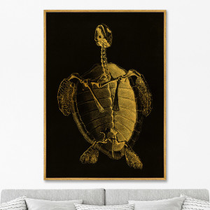 90603671 Репродукция картины на холсте "Turtle skeleton. 1733г" 75x105 см STLM-0302623 КАРТИНЫ В КВАРТИРУ