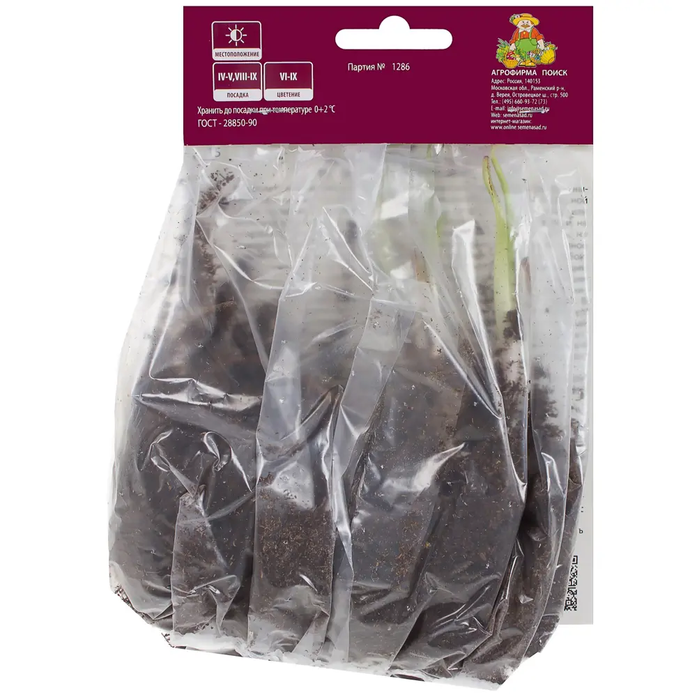 Традесканция Андерсона Инносенс I, 1 шт Santreyd STLM-2161903 - Вид №1