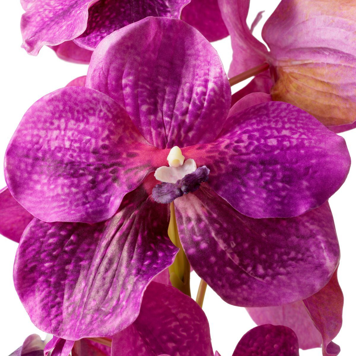 Искусственное растение Eichholtz BOUQUET OF VANDA ORCHIDS ARCH-00078335 - Вид №2