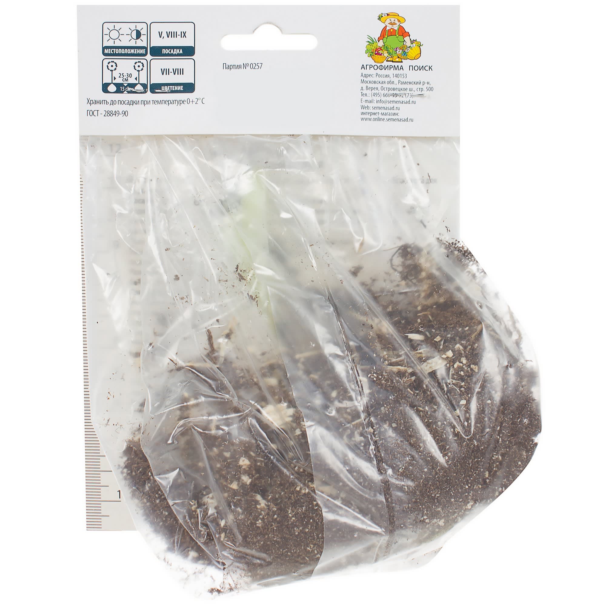 81945448 Лилия азиатская Центерфолд 1 шт Santreyd  - Вид №1