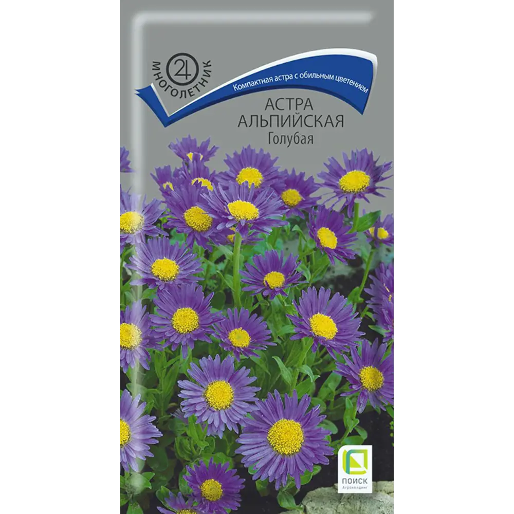 Астра альпийская Пронто оранж от ПОИСК - яркие цветы для сада 89401280 STLM-1566267