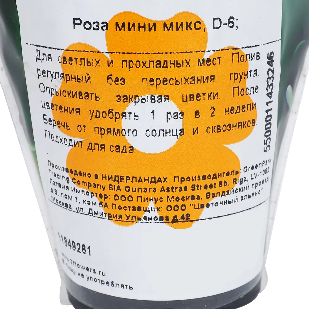 Роза 11849261 STLM-2187583 Santreyd  - Вид №4