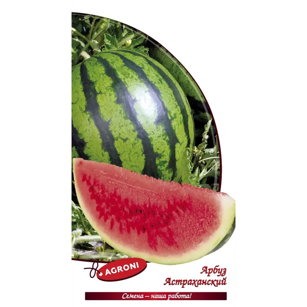 Семена арбуза Астраханский AGRONI - для сочного летнего урожая 89400848 STLM-1567525