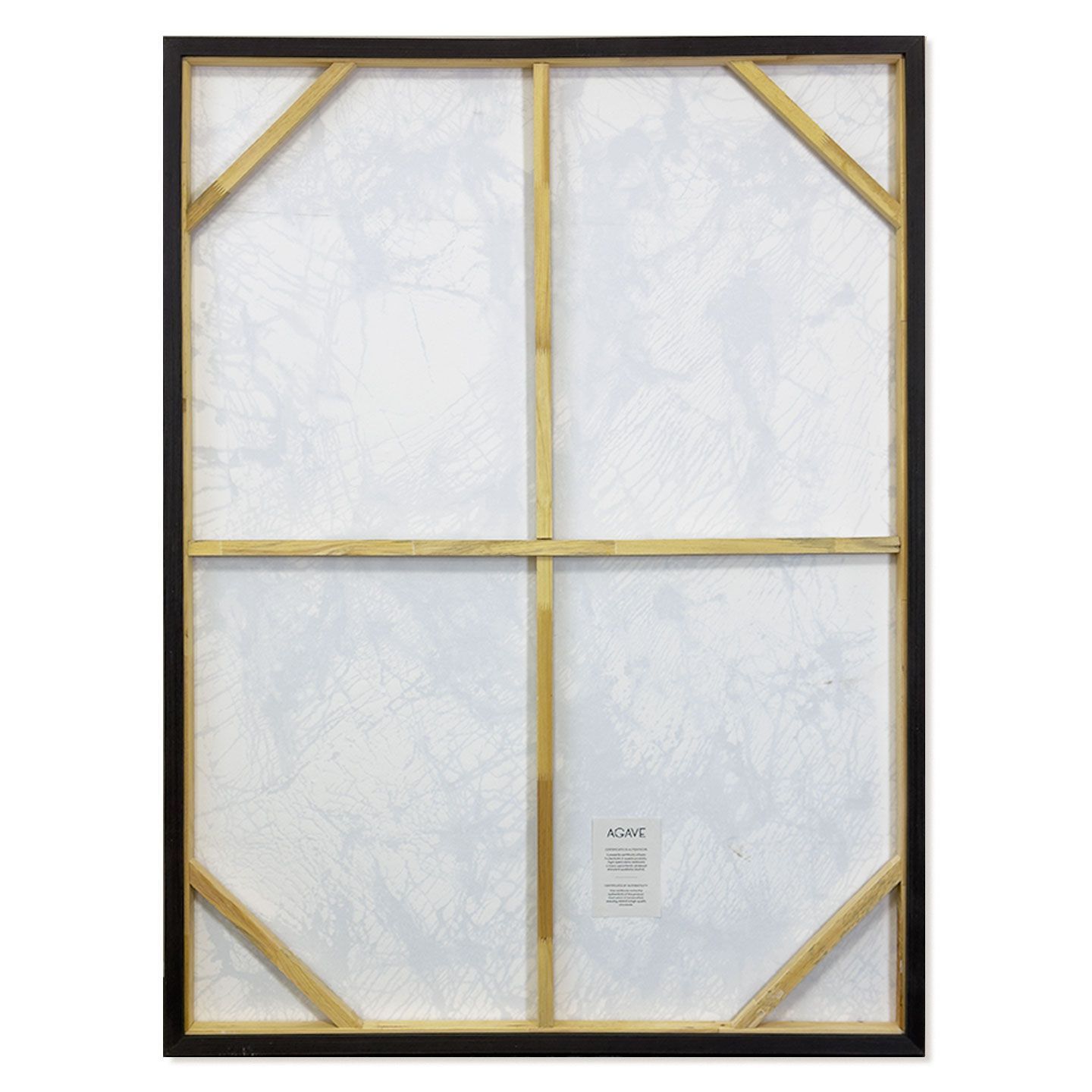 Холст рамки Agave GROUND ARCH-00013157