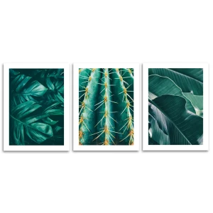 Постер Флора джунглей 30x40 см 3 шт. 87794364 STLM-2105428