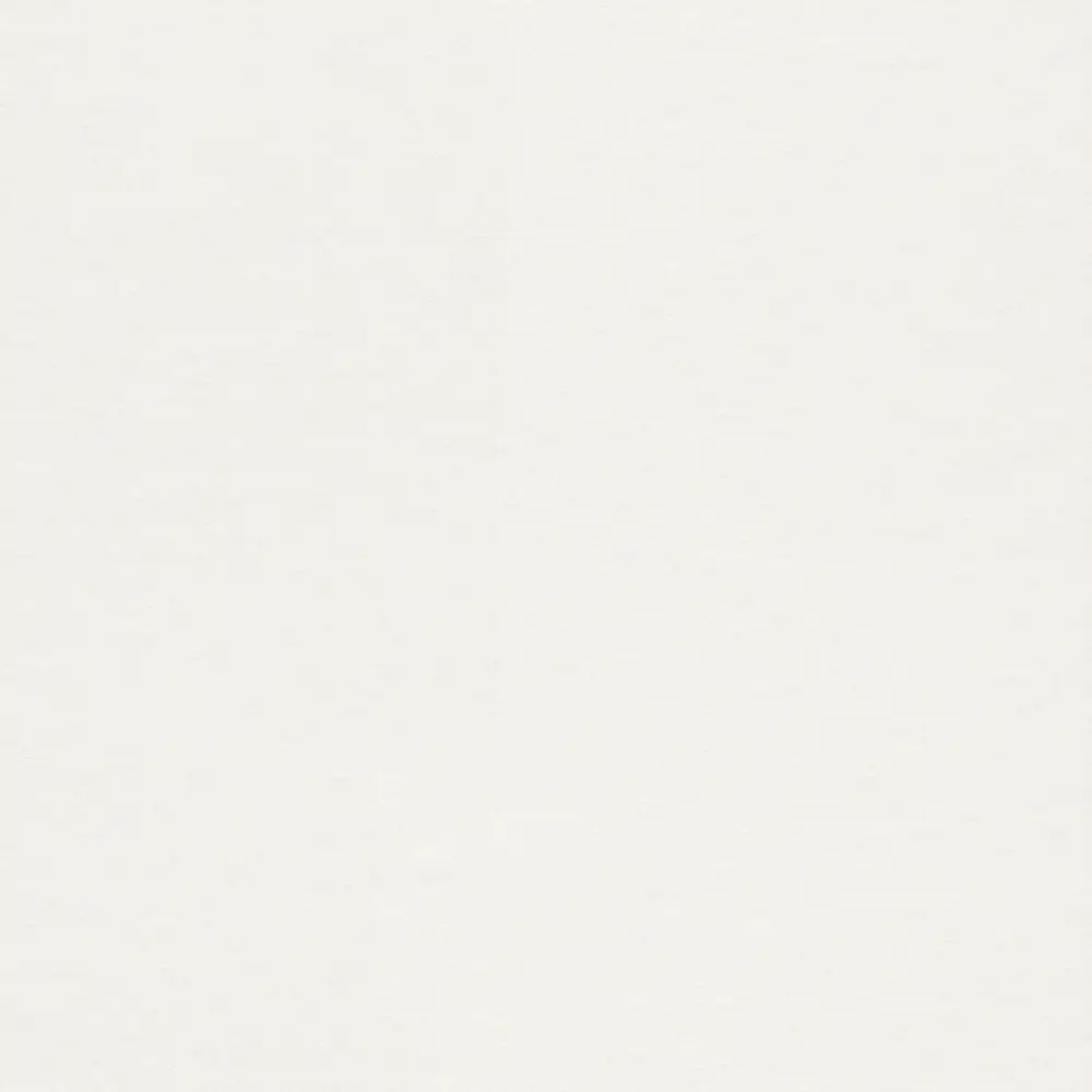 Холст флизелиновый Ra 165814 1.06х25 м 13445746 STLM-2172993 Rasch 