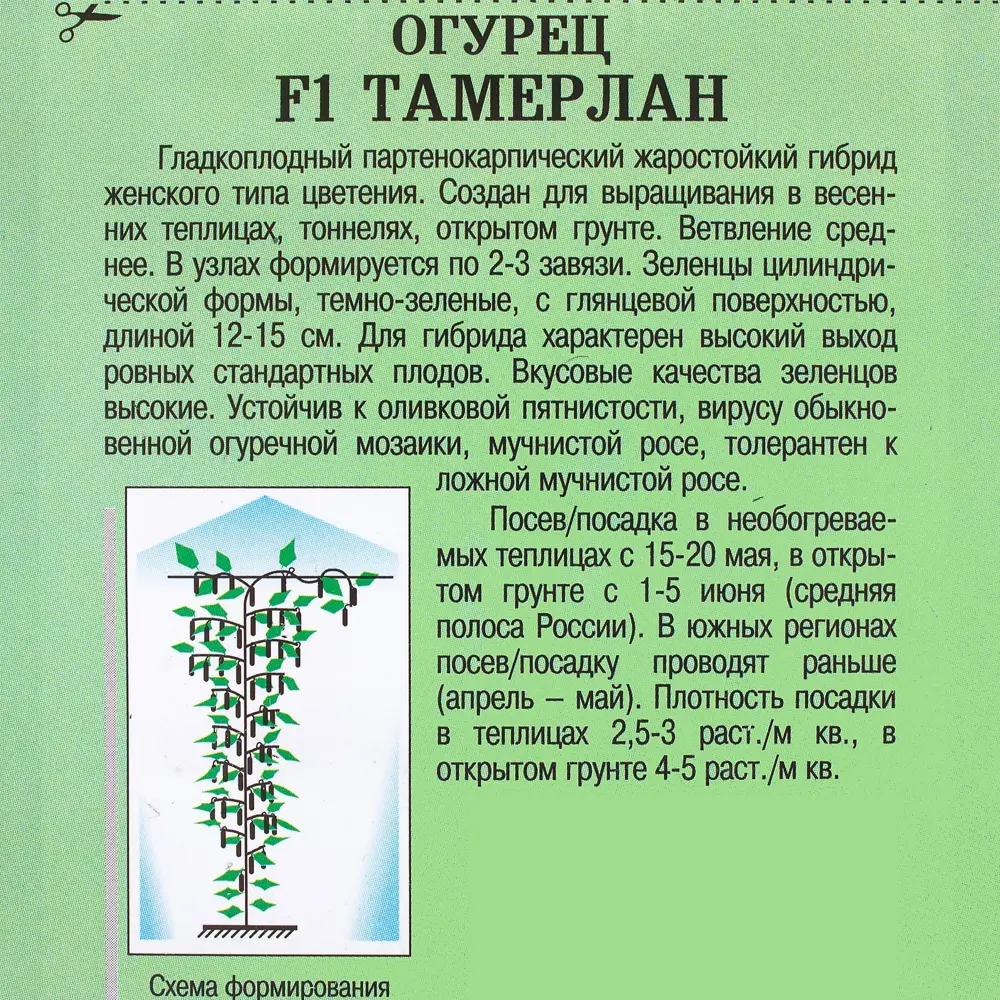 Огурец «Тамерлан» F1 81932534 STLM-2006758 Santreyd  - Вид №2