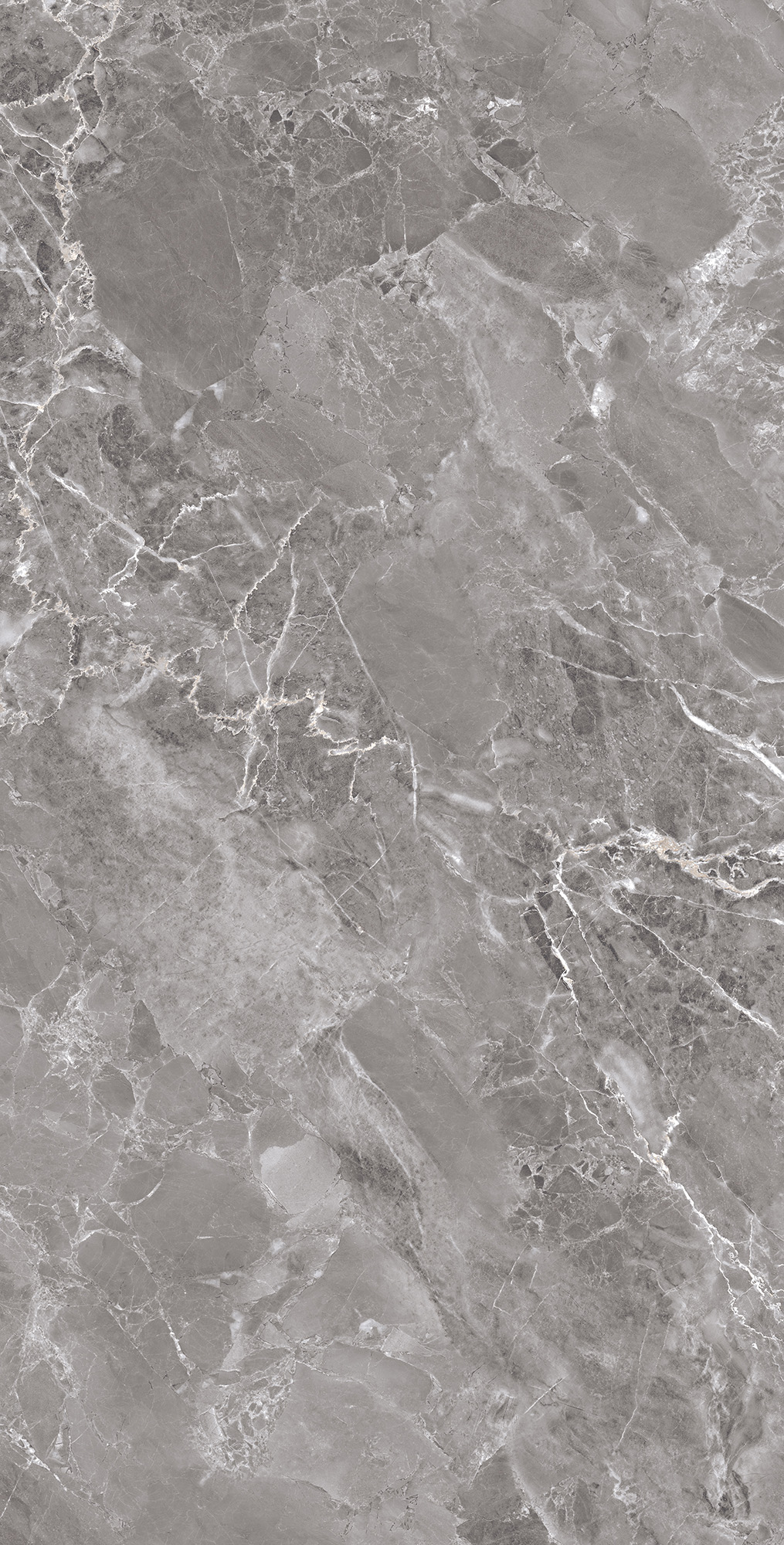 Керамогранит MODENA GREY 60х120 Arcadia Ceramica FP1033-A - Вид №4