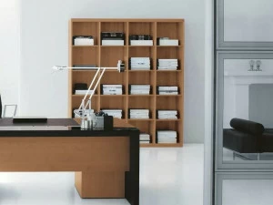 Archiutti Книжный шкаф для офиса Eko