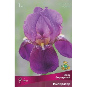 Ирис бородатый Император 89433477 STLM-2064539