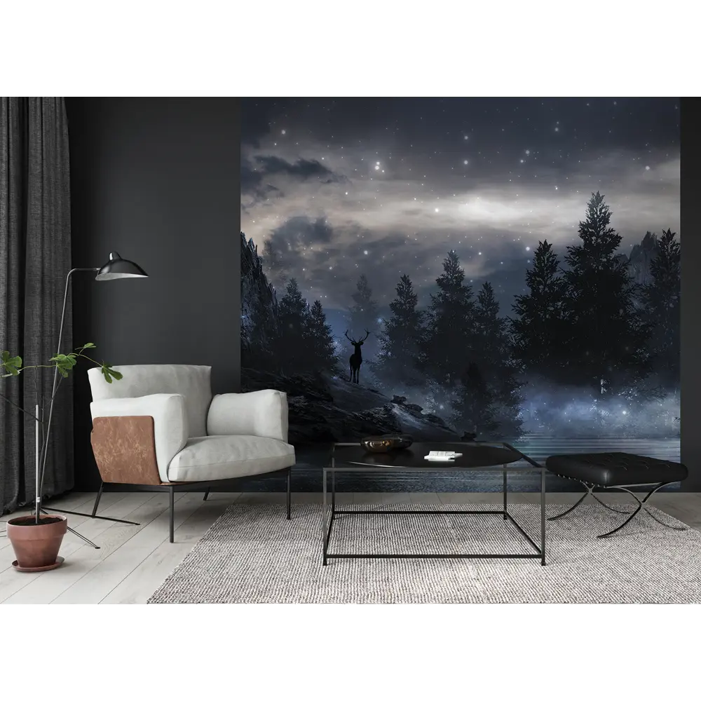 Фотообои Туманная ночь флизелиновые, 300x270 см, L13-206 FBRUSH 3D FLIZART STLM-2013044 - Вид №2