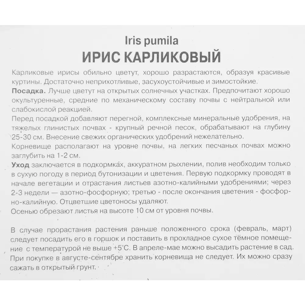 Ирис карликовый Тиклд Пич 85204841 STLM-2030152 ПОИСК  - Вид №2